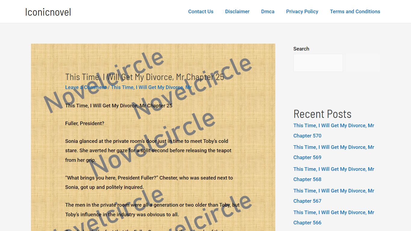 This Time, I Will Get My Divorce, Mr Chapter 25 - Iconicnovel